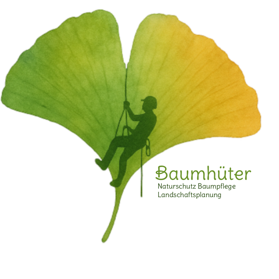 Baumhüter